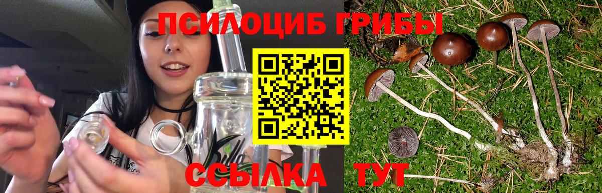 Среднеуральск  наркота  Вход с VPN  Галлюциногенные грибы Magic Shrooms 